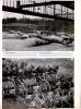 The New German Army, Page 4